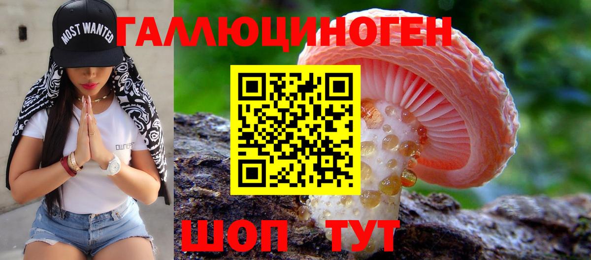 Псилоцибиновые грибы прущие грибы Сухой Лог