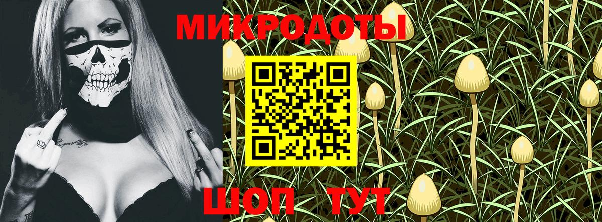 закладки  Галлюциногенные грибы Cubensis  Вход с VPN  Сухой Лог  Псилоцибиновые грибы прущие грибы 